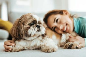11 Ultimate Dog Breeds for Snuggling