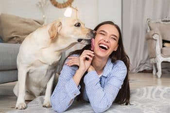 9 Affectionate Dog Breeds That Lick a Lot