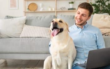 13 Brilliant Dog Breeds That Are Teachers’ Pets