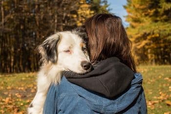 13 Dog Breeds That Choose You—and Never Let Go