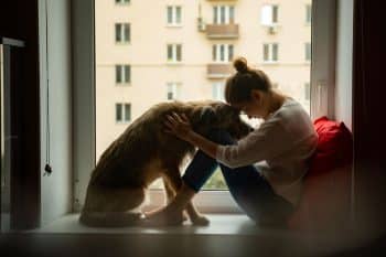 13 Sweet Ways Dogs Try to Comfort You