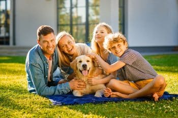 11 Friendly Dog Breeds For Busy Families