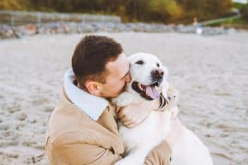 11 Devoted Dog Breeds That Love With Their Whole Heart