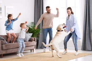 13 Social Dog Breeds That Love a Crowd