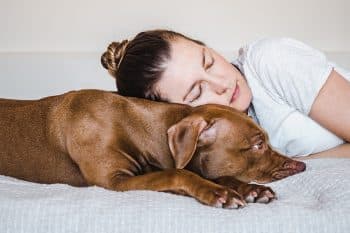 11 Affectionate Dog Breeds With Big Hearts