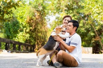 Meet 11 Friendly Dog Breeds Who Will Adore Visitors