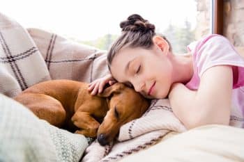 11 Affectionate Dog Breeds That Snuggle Like Pros
