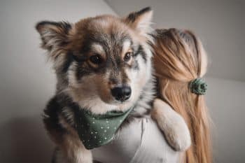 9 Affectionate Dog Breeds That Can’t Get Enough Hugs