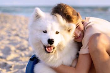 13 Snuggly Dog Breeds That Are Living Teddy Bears