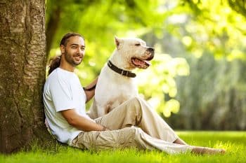 15 Fierce Dog Breeds That Would Stand for You