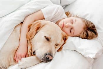 15 Cuddly Dog Breeds That Sleep Beside You
