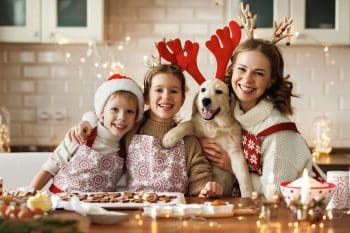 11 Family-Loving Dog Breeds That Make Holidays Better