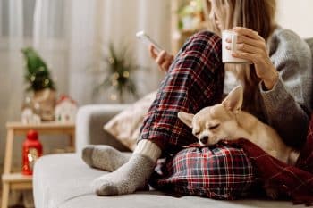 11 Snuggly Dog Breeds That Love Cozy Nights