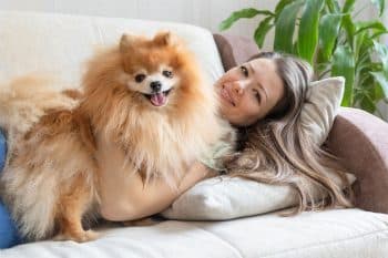 15 Cuddly Dog Breeds That Make Every Day Better