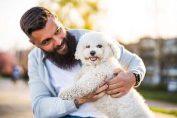 13 Cheeky Dog Breeds That Love To Charm Strangers