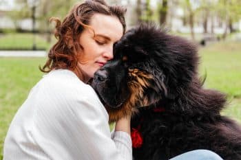 13 Big Dog Breeds With Sweet Souls