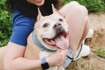 15 Loyal Dog Breeds That Stay Forever Faithful