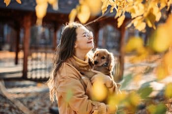 15 Calm Dog Breeds That Bring Serenity Into Your Life