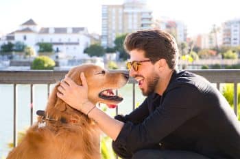 13 Playful Dog Breeds Happy To Make You Laugh