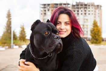 13 Faithful Guard Dogs That Won’t Leave Your Side