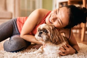 15 Calm Dog Breeds That Balance Your Life