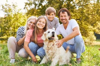 13 Loving Dog Breeds That Fit Any Family