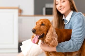 13 Sweet-Natured Dog Breeds That Make Great Companions