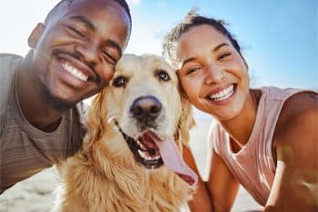 9 Family-Loving Dog Breeds That Embrace Togetherness