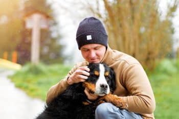 9 Quiet Dog Breeds That Are Whisper-Soft Companions