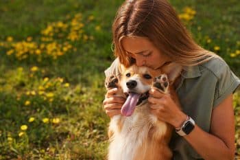 13 Best Dog Breeds For Emotional Support