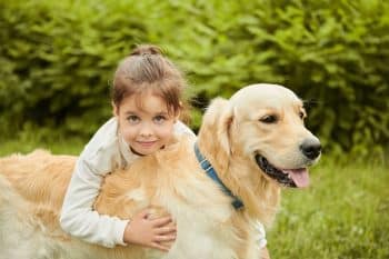 11 Dog Breeds That Are Calm Around Loud Kids