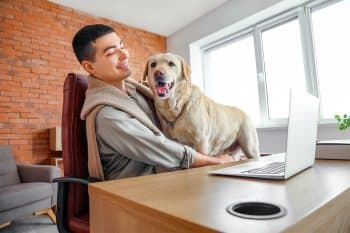 11 Loving Dog Breeds That Stay Right Beside You