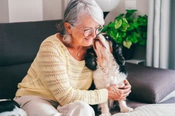 9 Snuggly Dog Breeds That Crave Cuddles