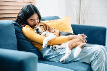 11 Friendly Dog Breeds That Warm Every Room