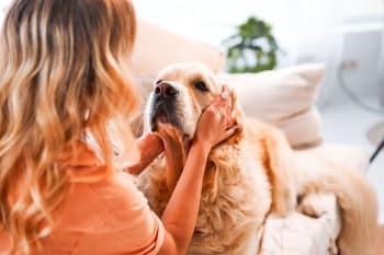 13 Loving Dog Breeds That Sense Your Mood