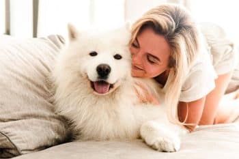 15 Cuddly Dog Breeds That Bring Warmth Everywhere