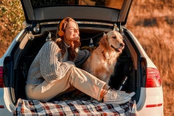 13 Adventurous Dog Breeds That Love the Open Road