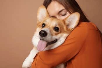 These 15 Dog Breeds Feel the Deepest Love in the Smallest Ways