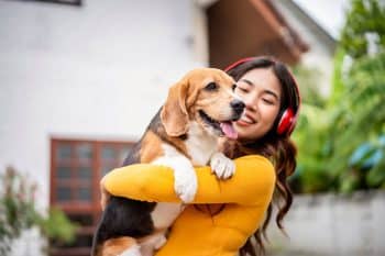 9 Funny Dog Breeds That Always Entertain