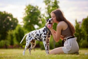 9 Playful Dog Breeds That Bring Joy