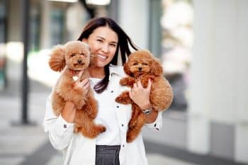 13 Ultimate Dog Breeds for First-Time Dog Owners