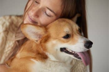 15 Best Dog Breeds For Emotional Support Companions
