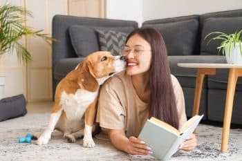 9 Subtle Signs Your Dog Is Proud of You