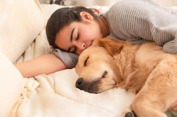 13 Cuddly Dog Breeds Perfect For Chilly Evenings