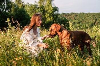 13 Brave Dog Breeds That Are Surprisingly Sweet