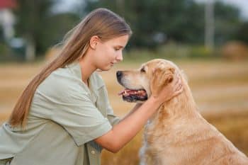 15 Emotionally Intelligent Dogs That Just Get You