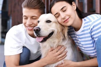 9 Reasons Dogs Make the Best Long-Term Companions