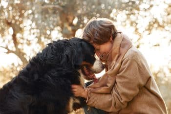 11 Top Dog Breeds For Calm Companionship