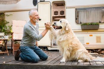 13 Loyal Dog Breeds That Bond for Life