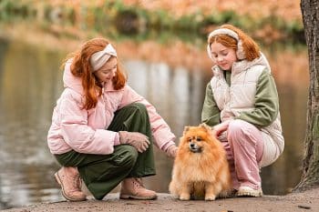 9 Magnetic Dog Breeds That Everyone Wants To Pet